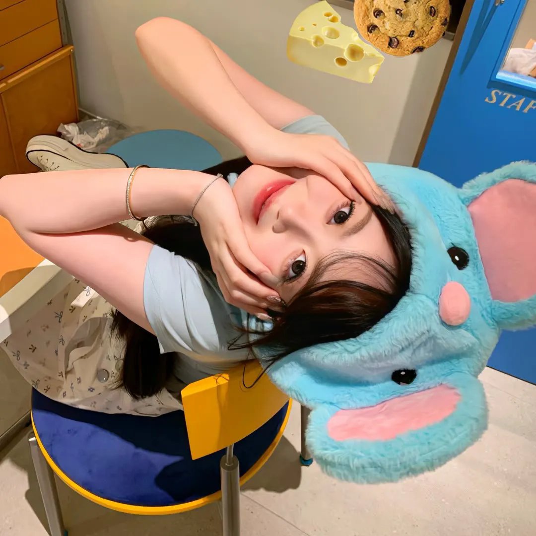 贝壳收藏家